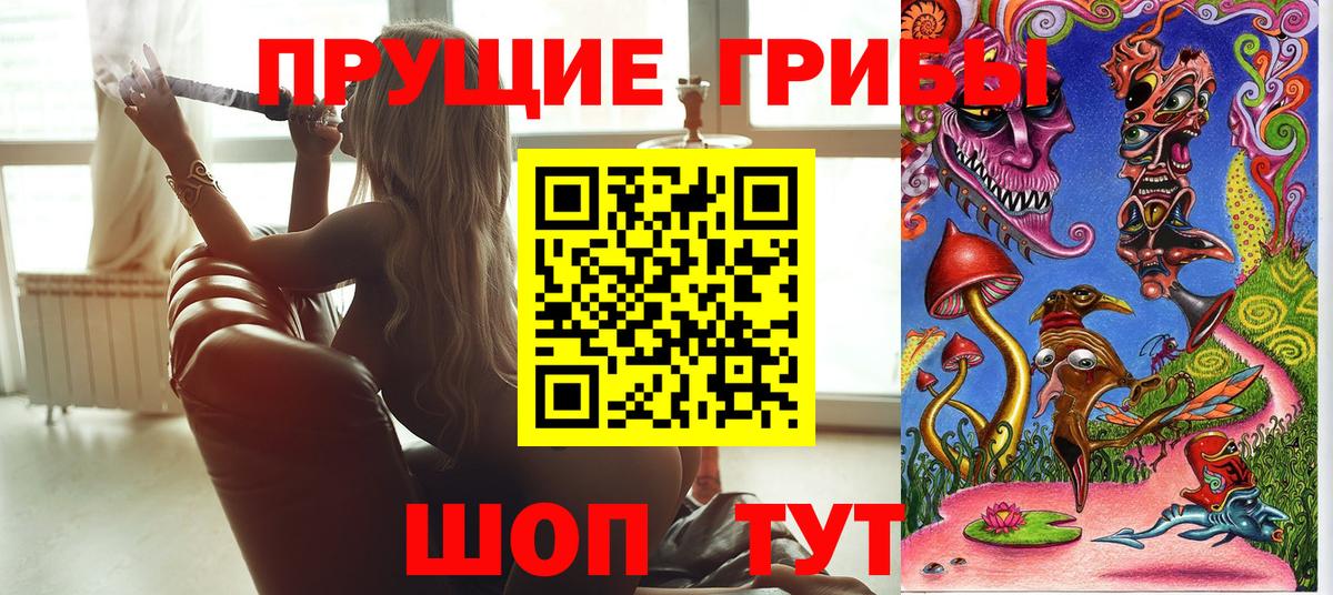 Галлюциногенные грибы GOLDEN TEACHER Гай