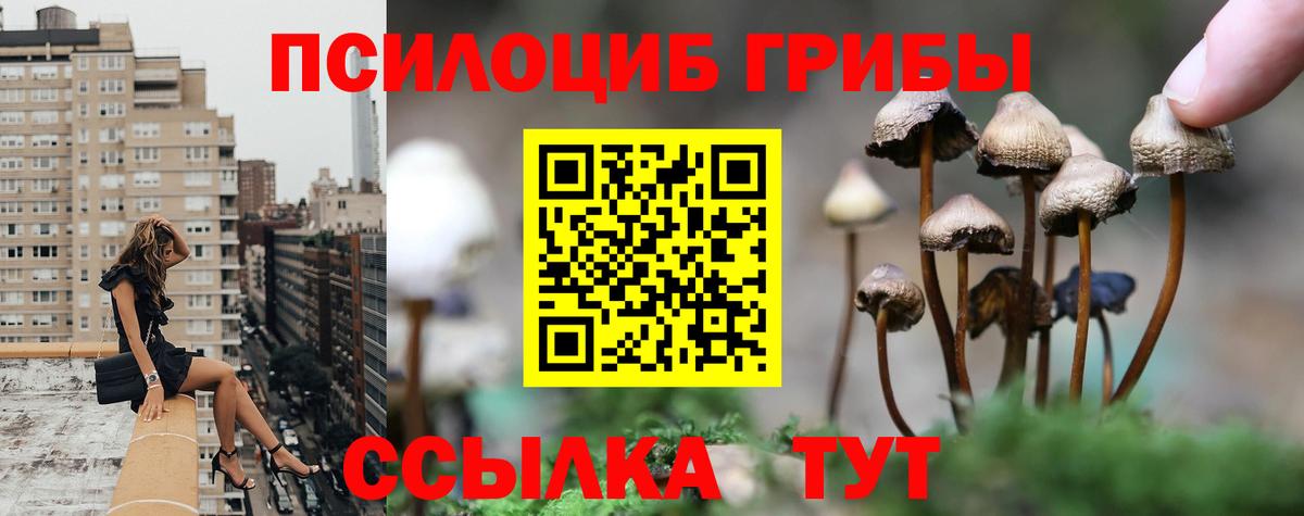 Галлюциногенные грибы Cubensis  Вход с VPN  Псилоцибиновые грибы Magic Shrooms  Гай 